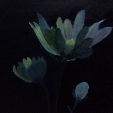 Flowers in the Dark Night