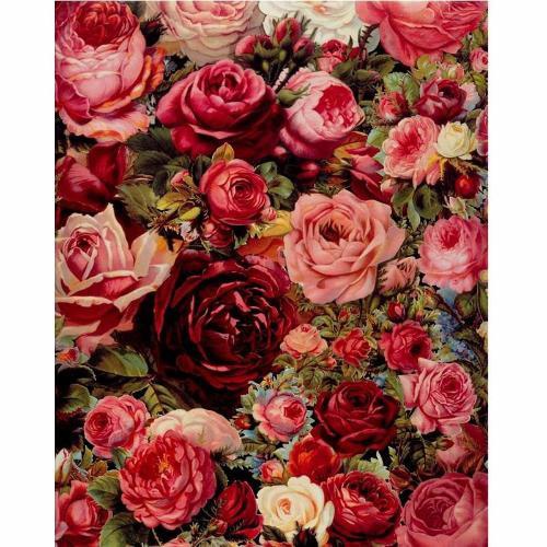 Rose Gargen DIY Painting By Number Kit